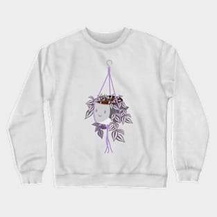 tradscantia plant in asexual pride pot Crewneck Sweatshirt